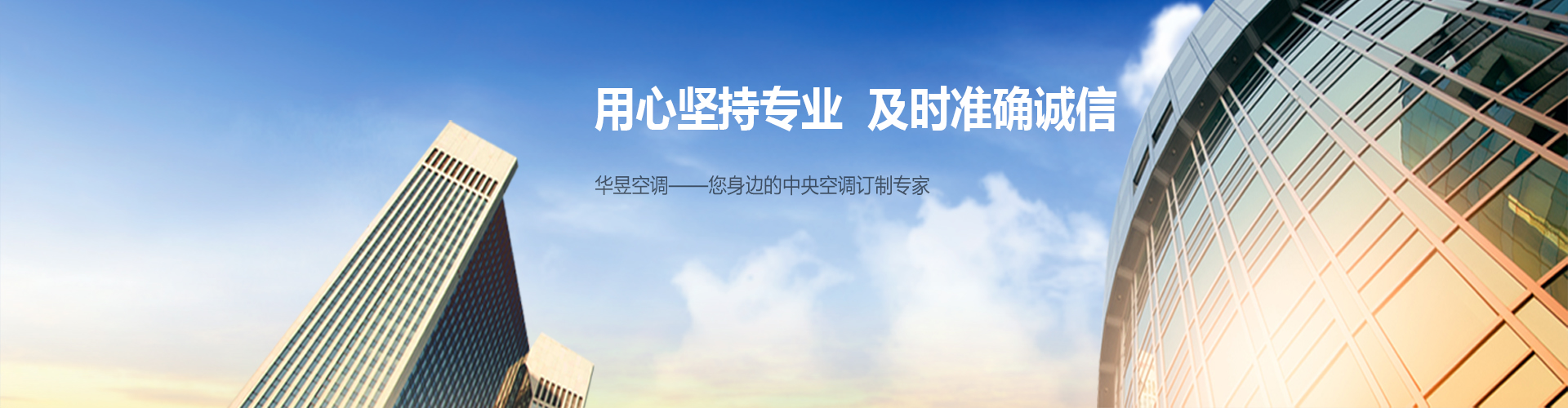举直措枉网